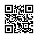 QR CODE 290