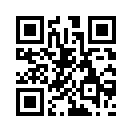 QR CODE 294