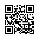 QR CODE 31