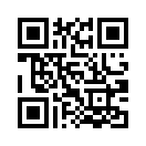 QR CODE 317