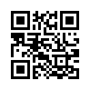 QR CODE 319