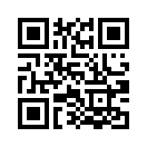 QR CODE 323