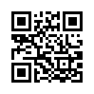 QR CODE 33