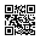 QR CODE 336
