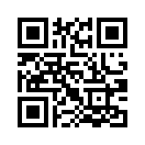 QR CODE 394