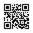 QR CODE 41