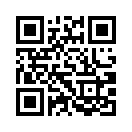 QR CODE 42