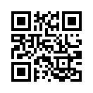 QR CODE 461