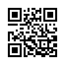 QR CODE 53
