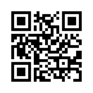 QR CODE 110