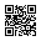 QR CODE 133