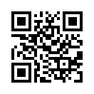 QR CODE 31