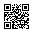 QR CODE 42