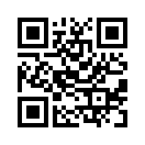 QR CODE 53