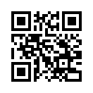 QR CODE 110