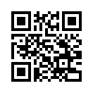 QR CODE 133