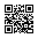 QR CODE 31