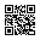 QR CODE 329