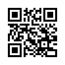 QR CODE 336