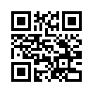 QR CODE 511
