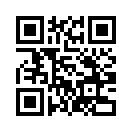 QR CODE 528