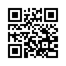 QR CODE 53