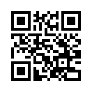 QR CODE 538