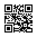QR CODE 734