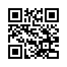 QR CODE 737