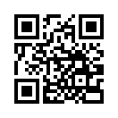 QR CODE 110