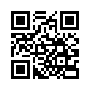 QR CODE 133
