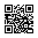 QR CODE 31