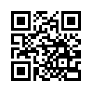 QR CODE 336