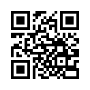 QR CODE 394
