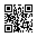 QR CODE 461