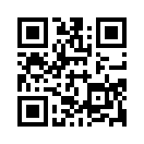 QR CODE 494