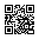 QR CODE 501
