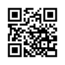 QR CODE 511
