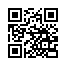QR CODE 519