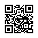 QR CODE 529