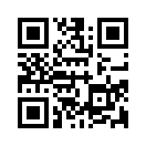 QR CODE 53