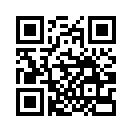 QR CODE 538