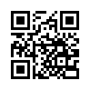 QR CODE 553