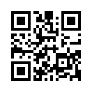 QR CODE 584
