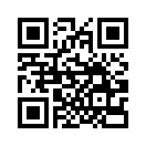QR CODE 603