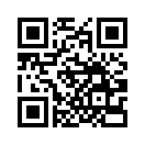 QR CODE 737