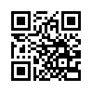 QR CODE 813