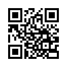 QR CODE 868