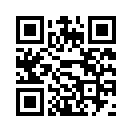 QR CODE 133