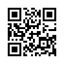 QR CODE 195